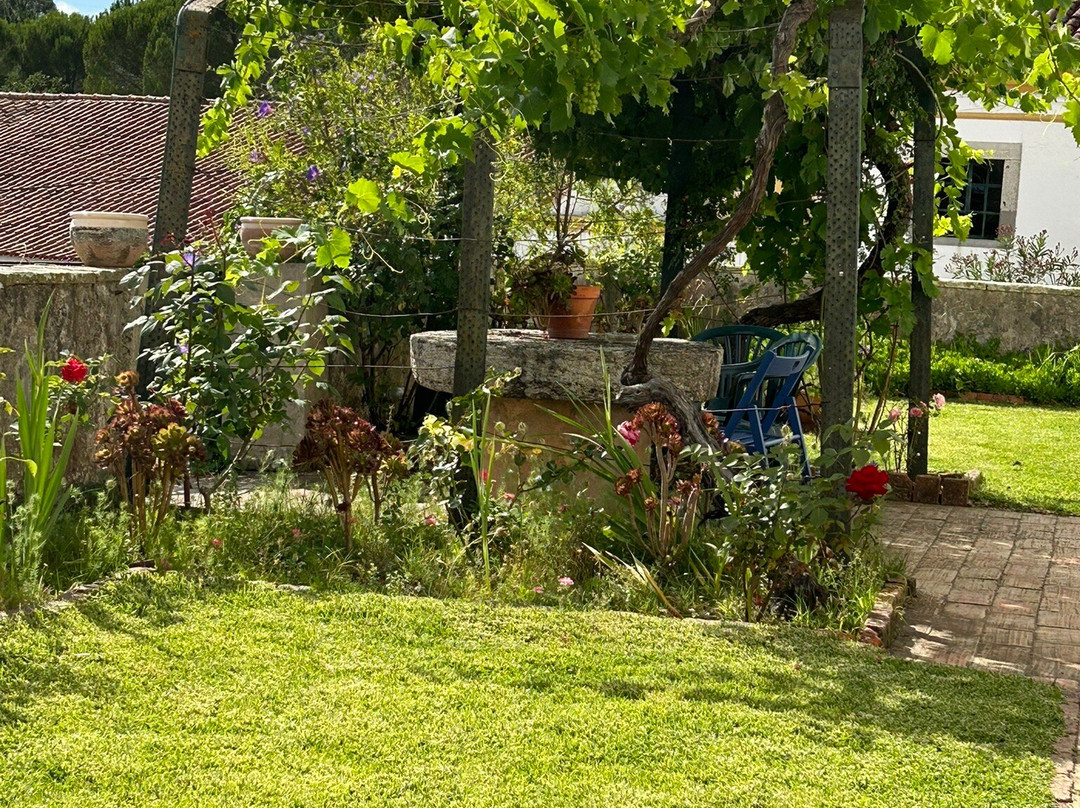 Quinta de Santa Barbara by Heaven's Sleepy主图
