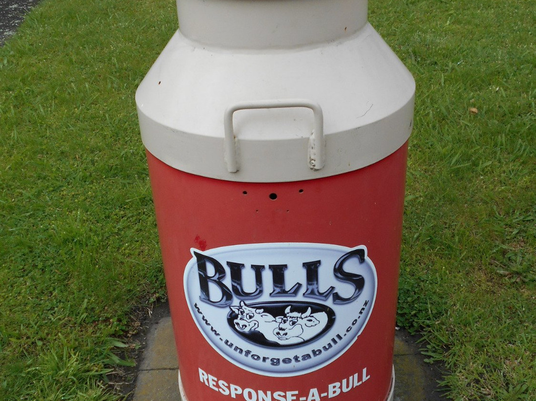 Bulls Museum景点图片