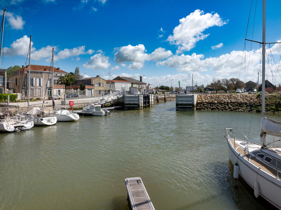 Port de plaisance centre - ville景点图片