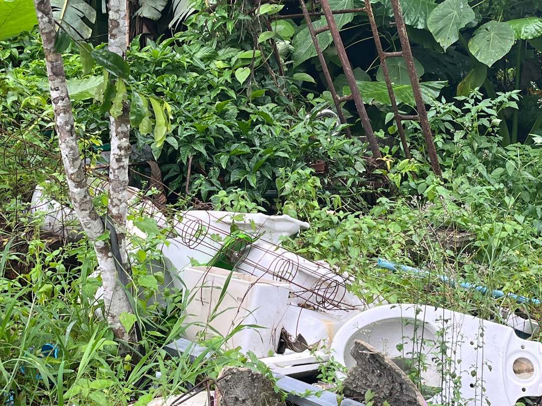 索克雨林度假村主图