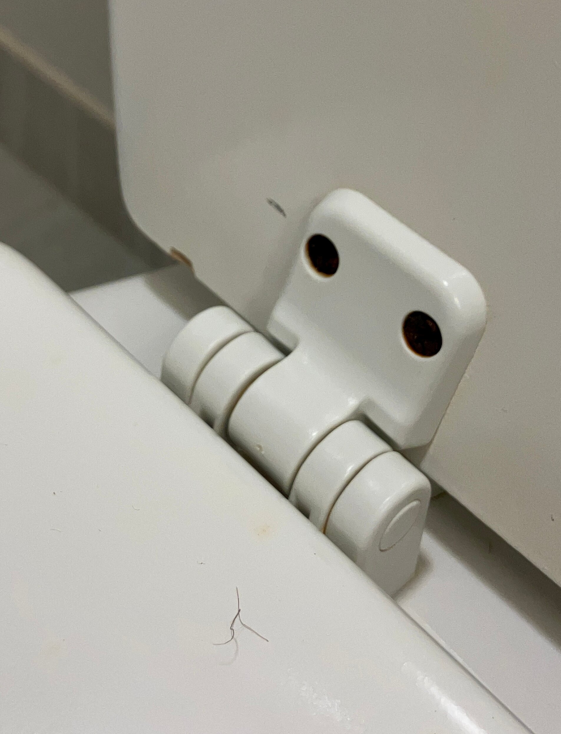 威廉姆斯波特快捷假日&套房酒店-浴室