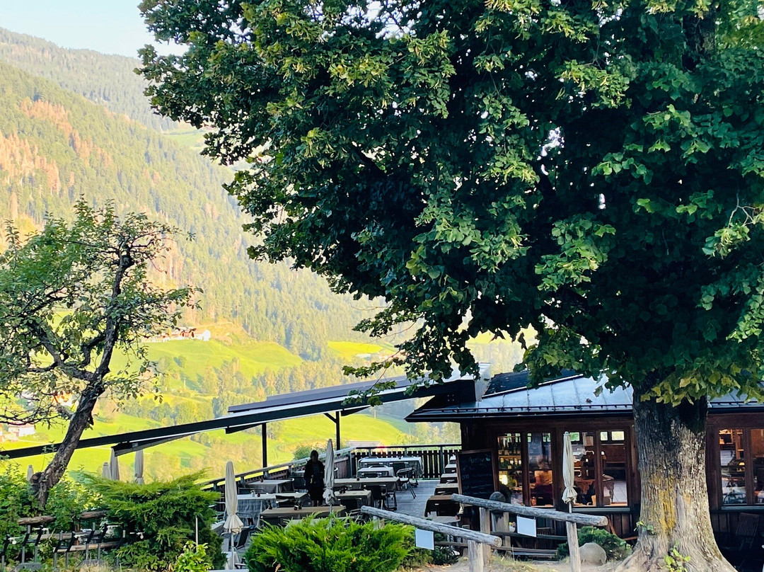 Naturhotel Saalerwirt主图