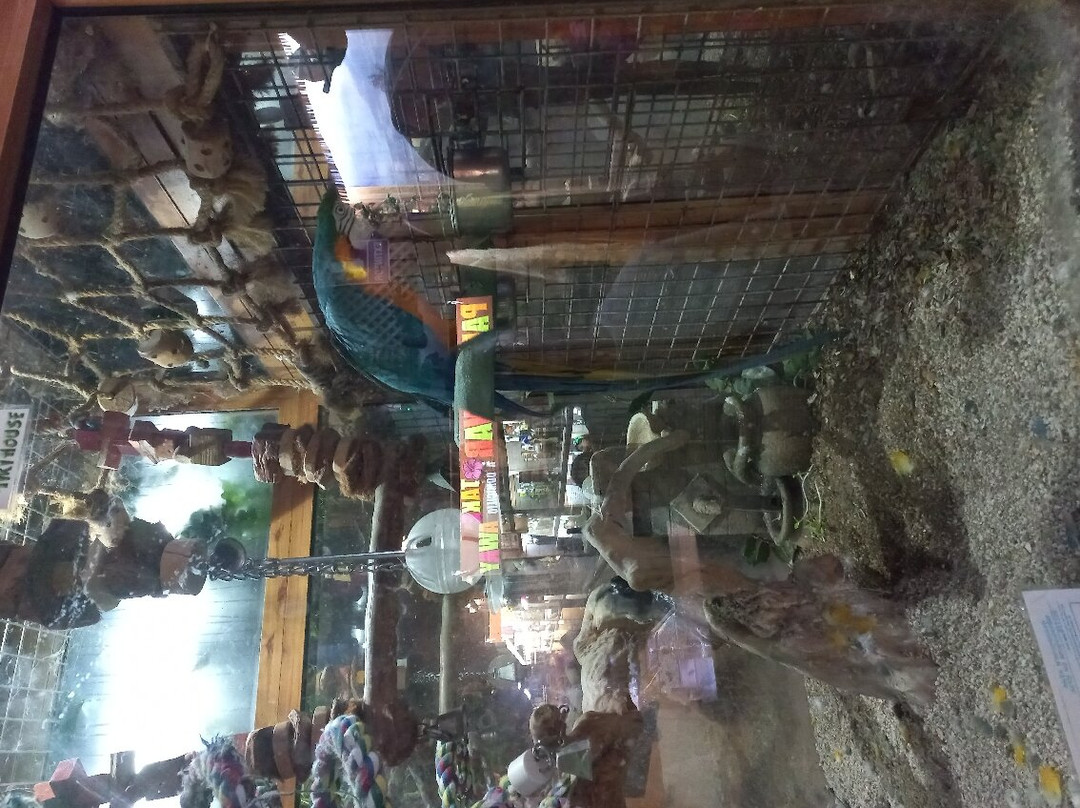 Hawaika景点图片