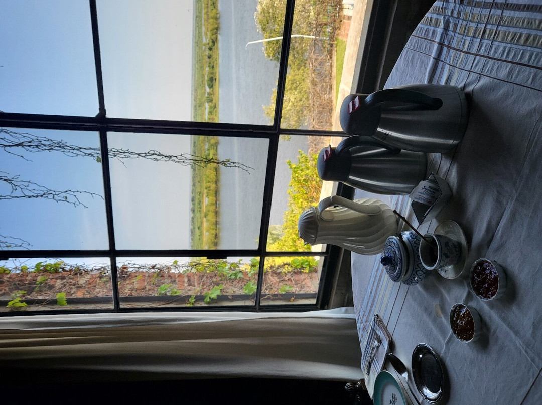 La Usina Vieja主图