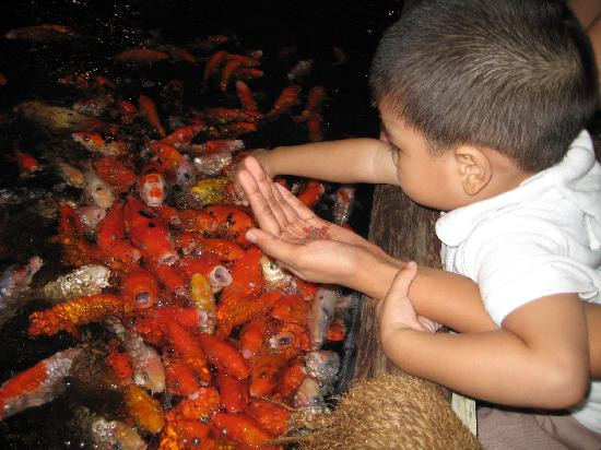 Ark Avilon Zoo-巴石必去景点