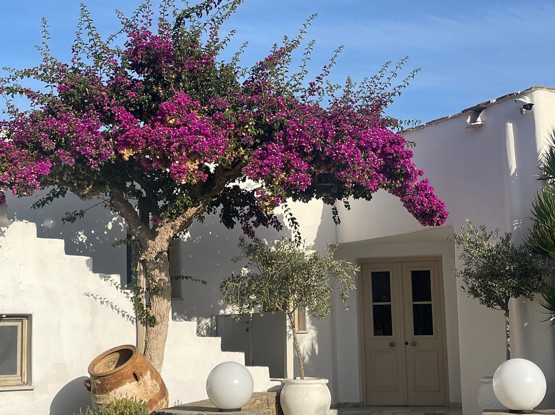 伊利亚度假酒店主图