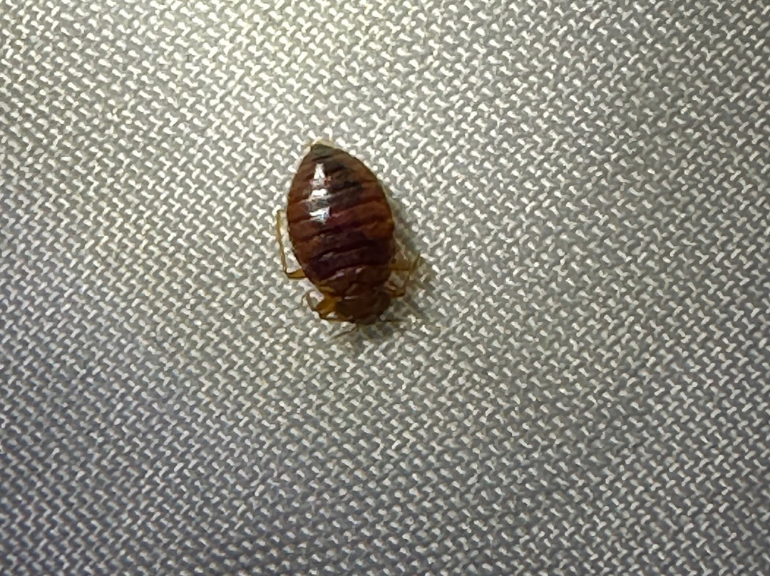 Comfort Suites Bethlehem Near Lehigh University and LVI Airport主图