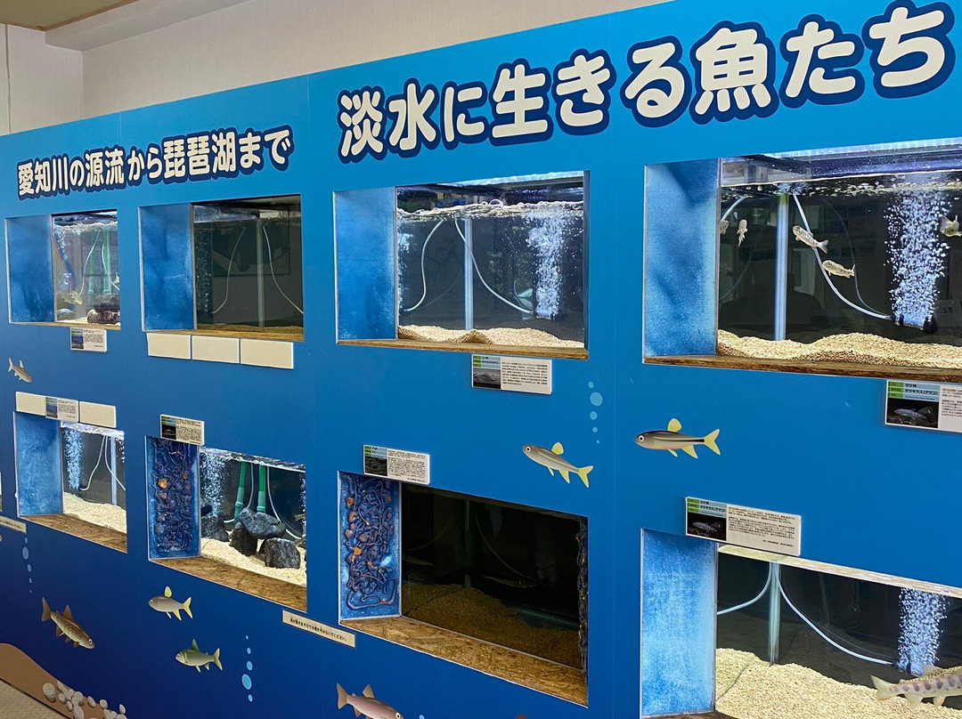 Michi-no-Eki Okueigenji Keiryu no Sato-东近江市必去景点