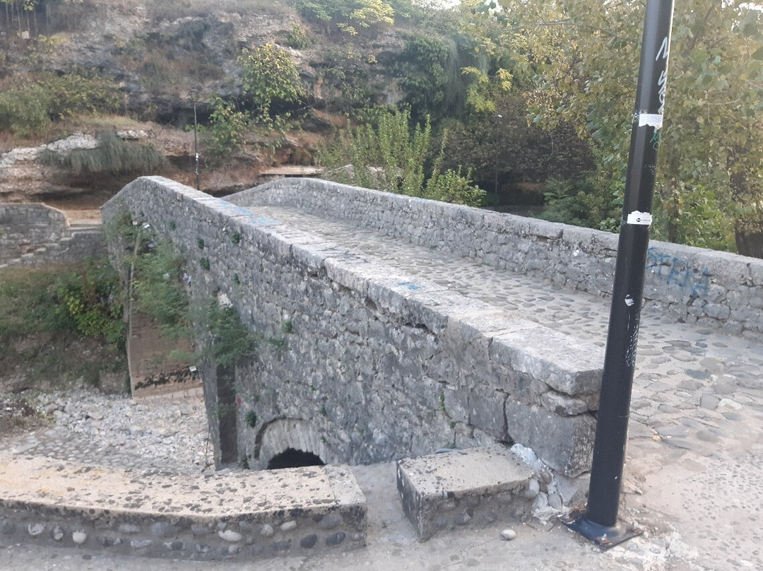 Ribnica Bridge (Most na Ribnici)-波德戈里察必去景点