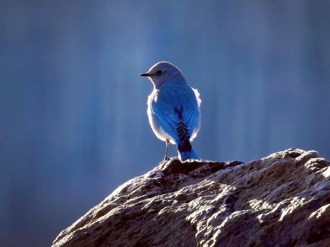 Fish Lake-Sevier必去景点