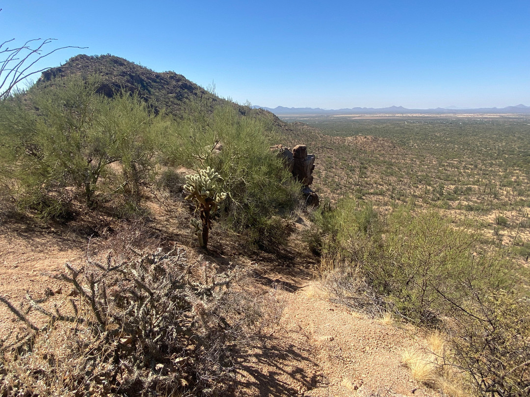Mount Safford Ladybug Peak Trail-Safford必去景点