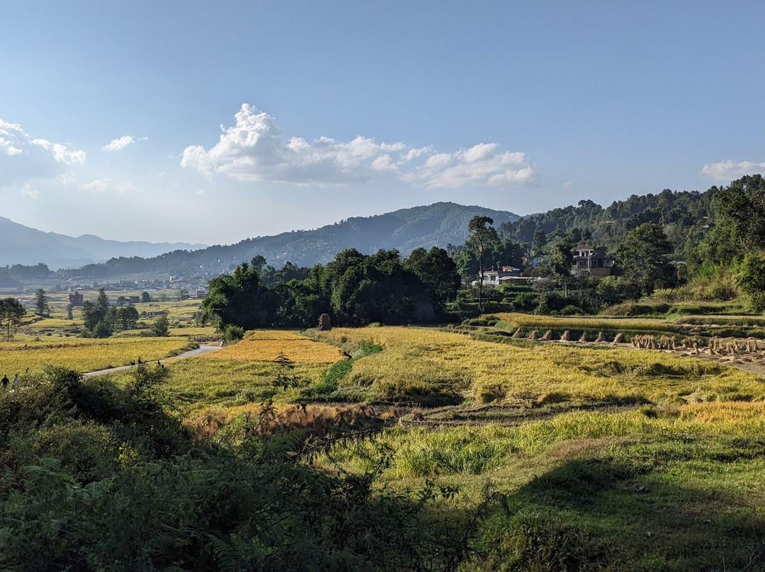 Exped Tribe景点图片