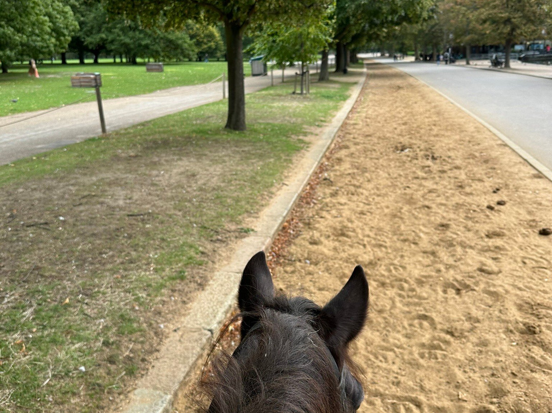 Ross Nye Stables-伦敦必去景点