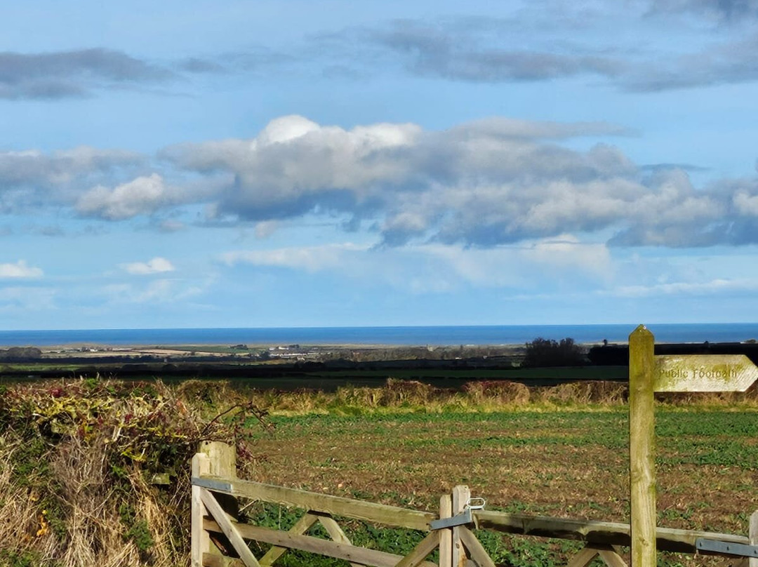 The White Swan Inn主图