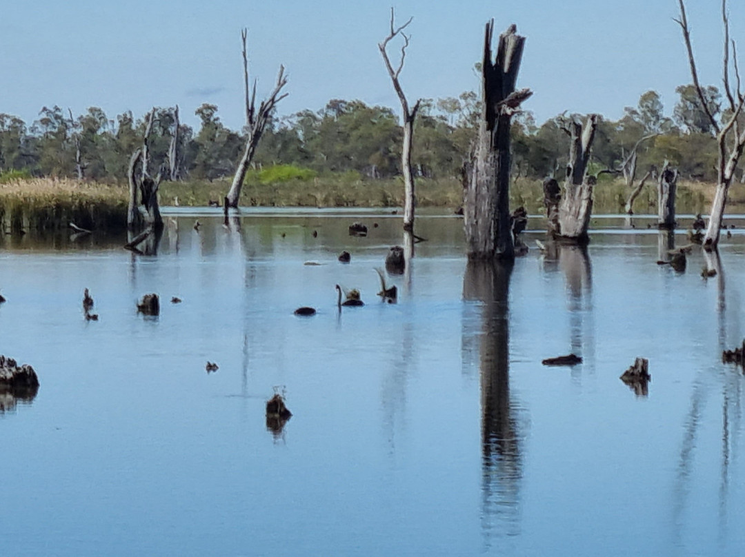 Lake Mulwala-Yarrawonga必去景点