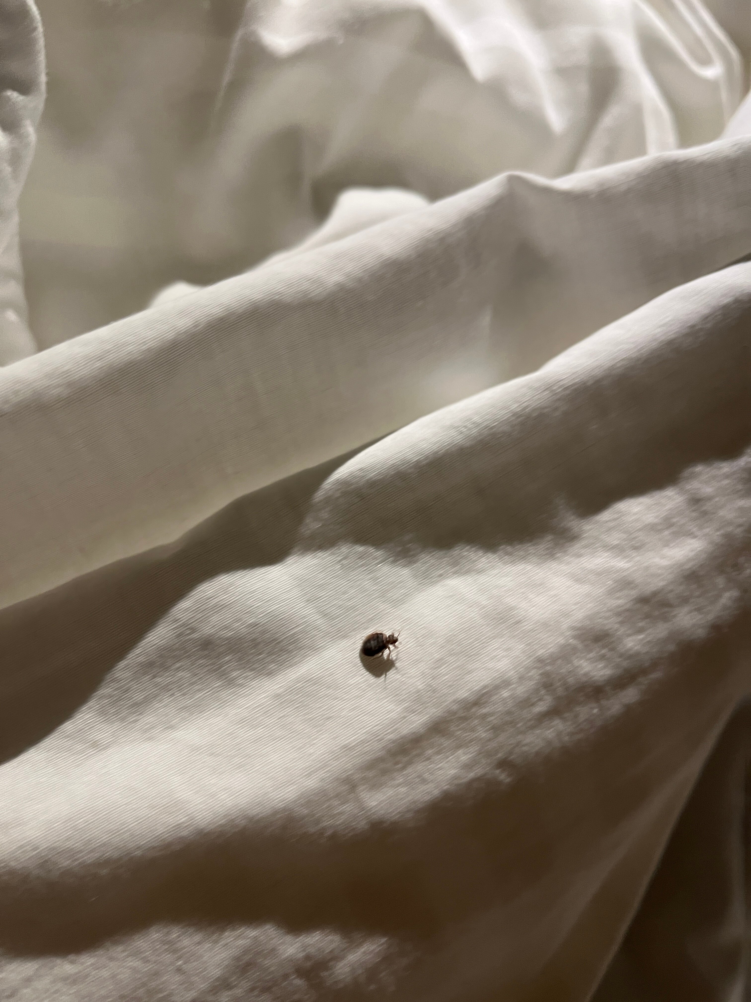 Springhill Suites Overland Park Leawood-官方