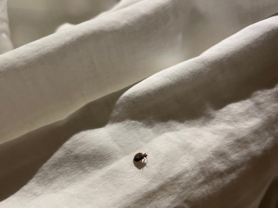 SpringHill Suites by Marriott Overland Park Leawood主图