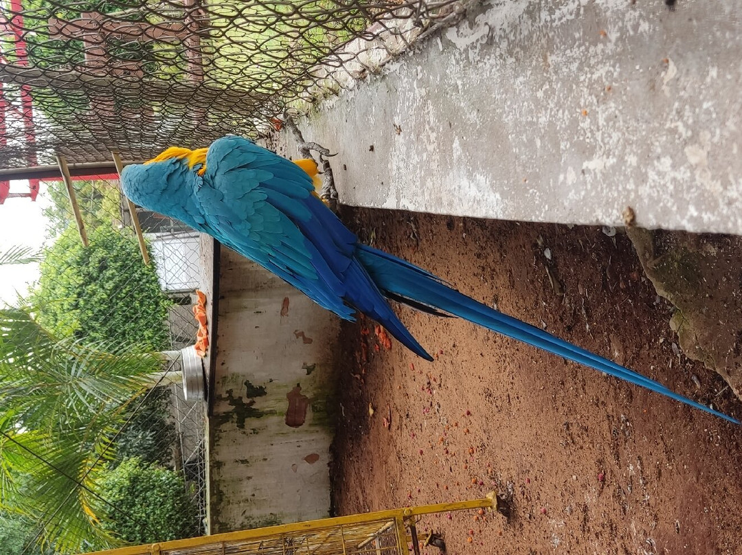 Villa Verde Hotel主图