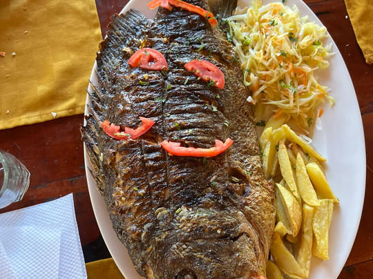 In Kenya con Katana-瓦塔木必去景点