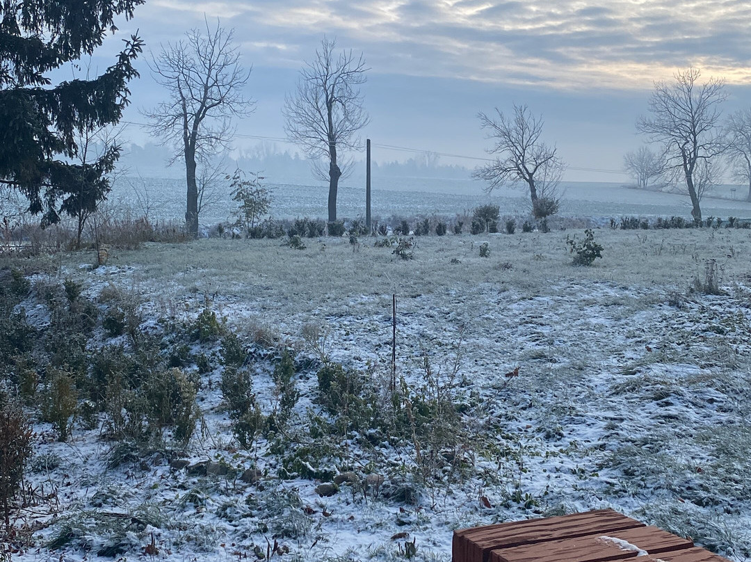 Pałac Warchalowskich -Osowo 23