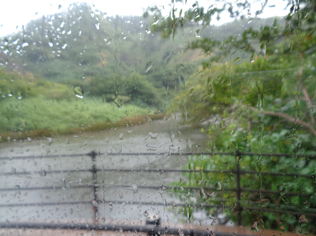 Yatsuse River-小笠原村必去景点