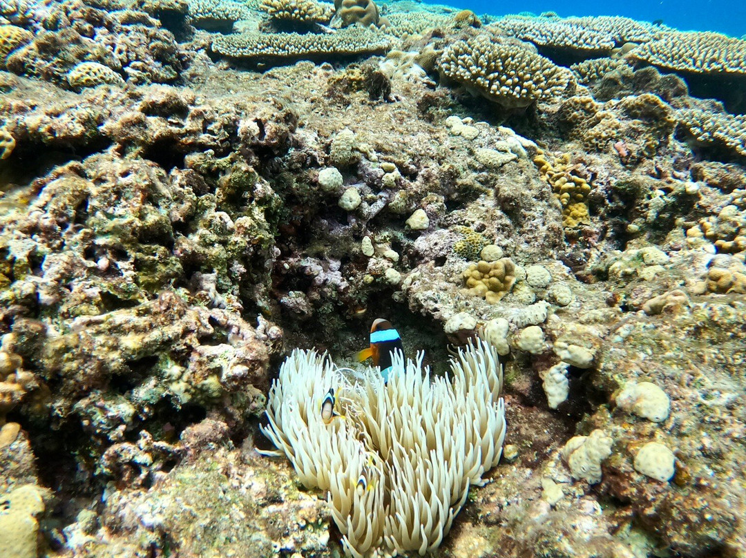 Marine House Seasir Naha-那霸市必去景点