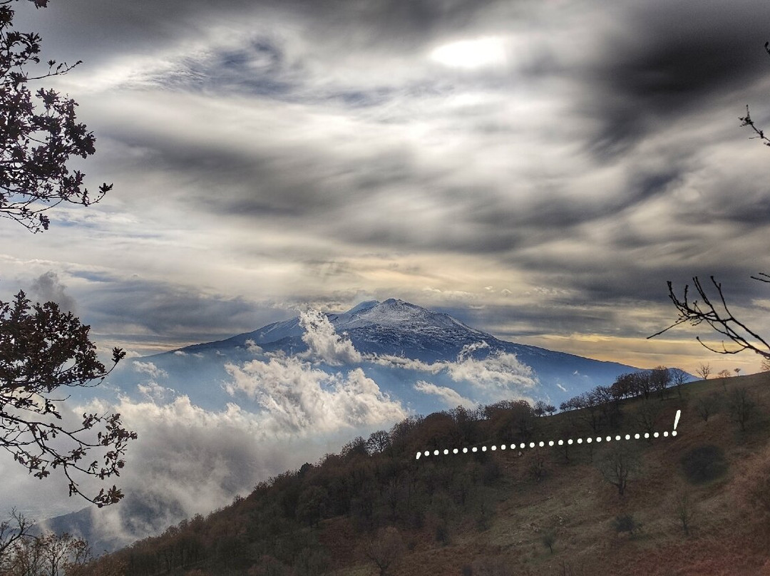 Bosco di Malabotta景点图片