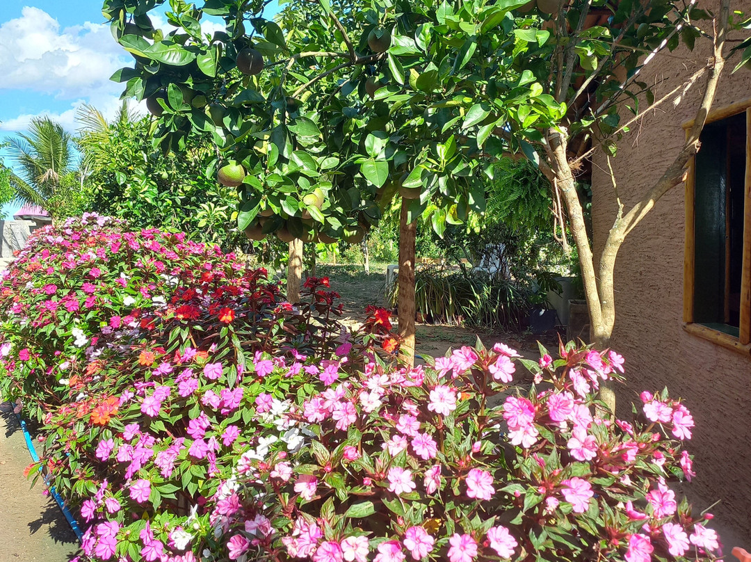 Hotel Fazenda Amoras主图