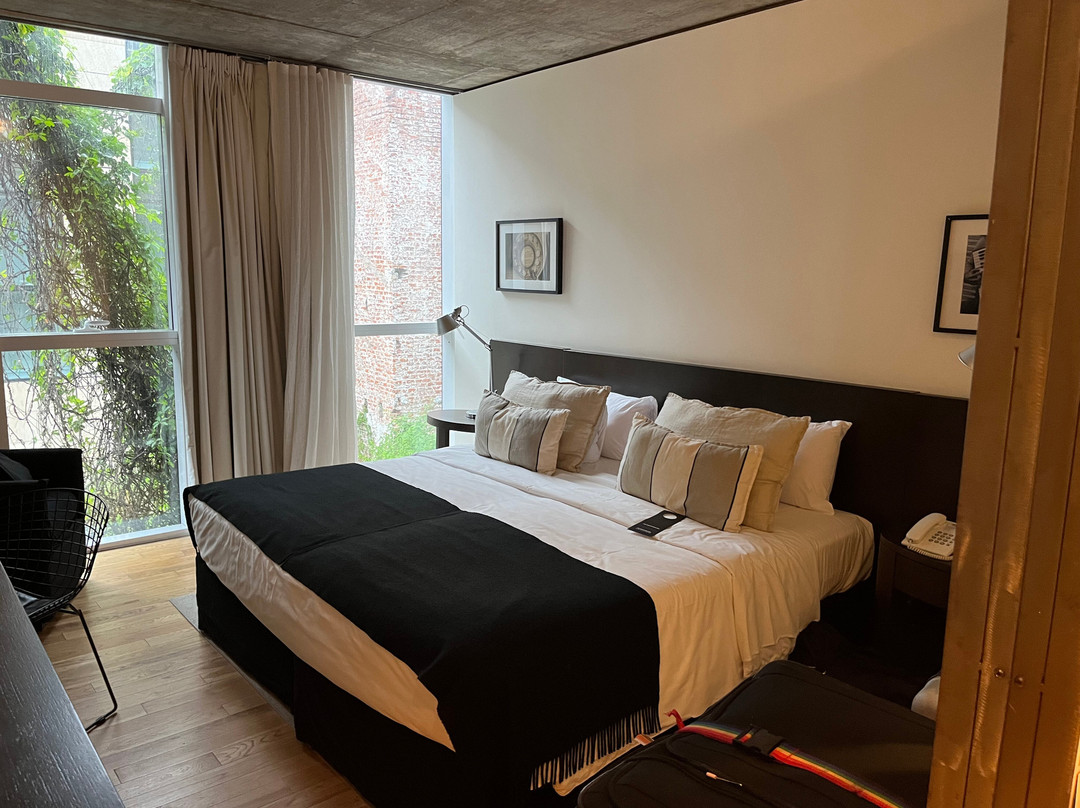 Anselmo Buenos Aires, Curio Collection by Hilton主图