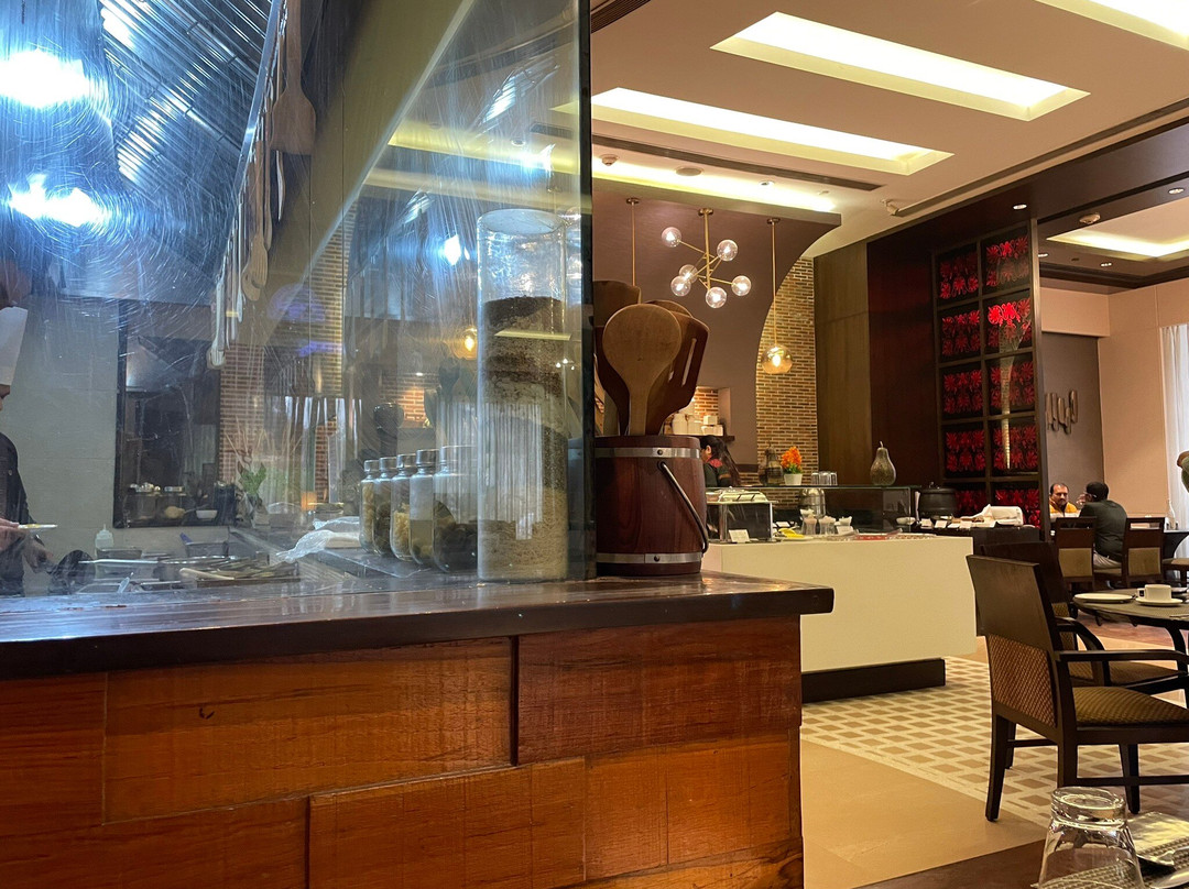 Goldfinch Hotel Delhi NCR主图