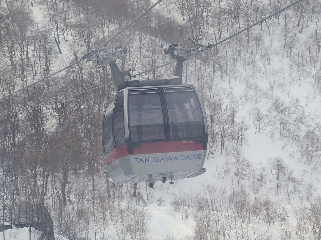 Mount Tanigawa景点图片