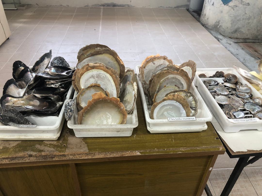 UNG Pearl Farm & Shop-Wichit必去景点