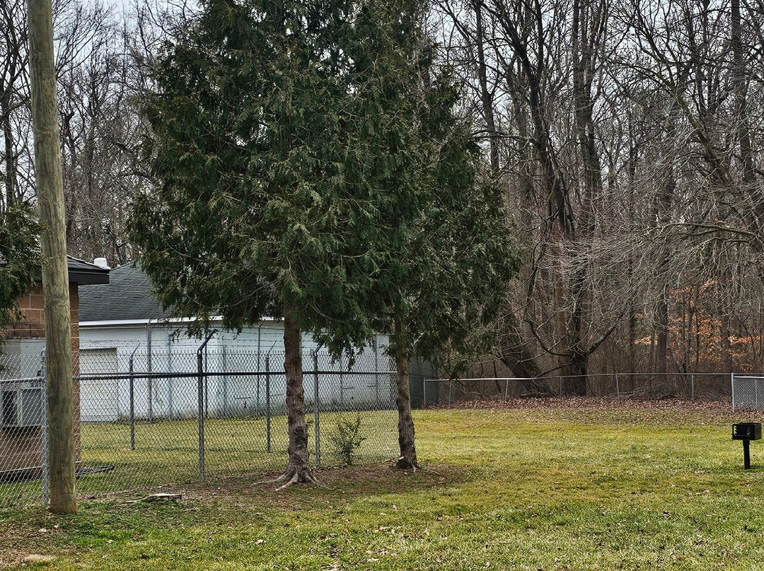 Plater Street Park-Aberdeen必去景点