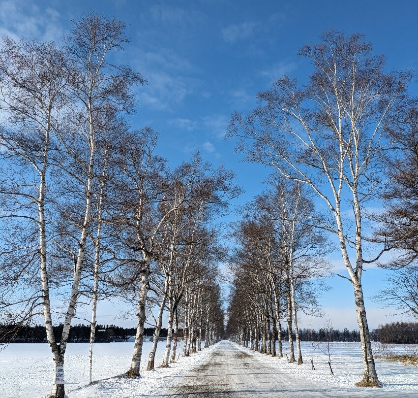 Tokachi Farm Observatory-音更町必去景点