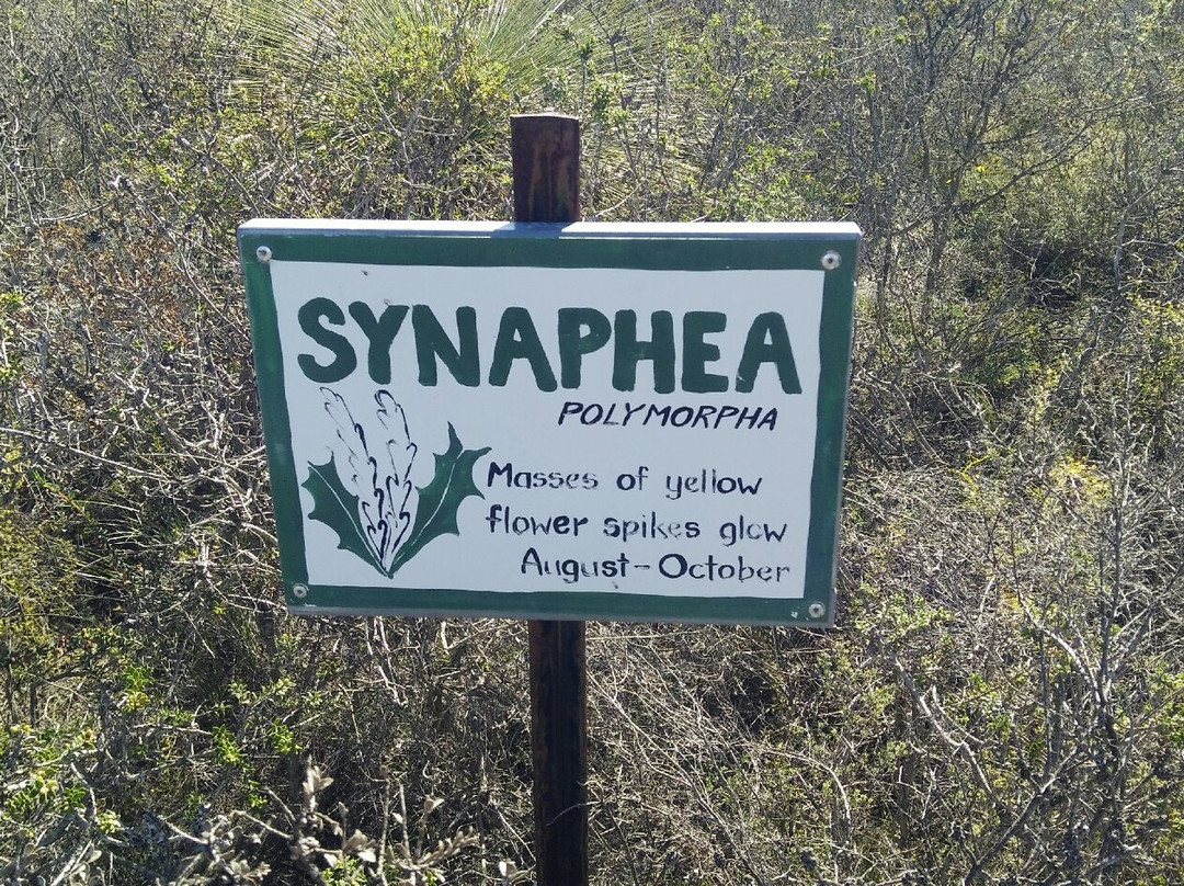 Badgingarra National Park-Badgingarra必去景点