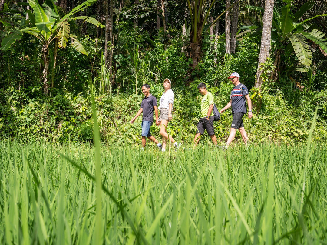 Discova Indonesia-登巴萨必去景点