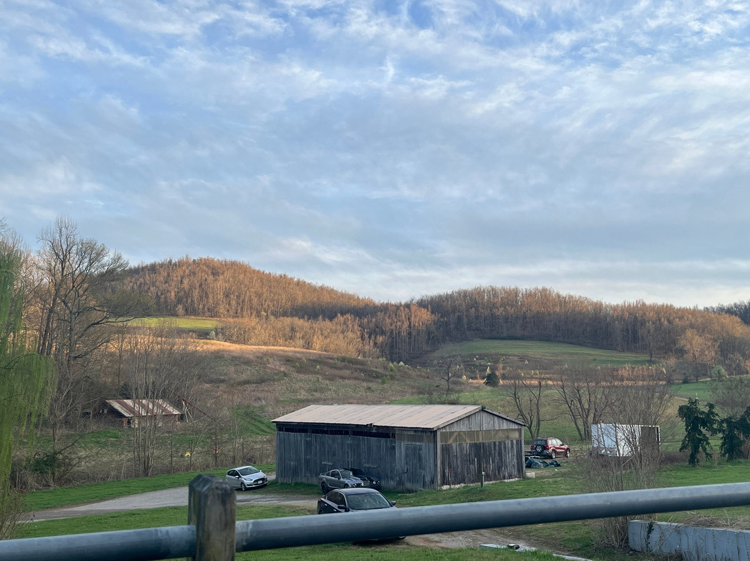 Short Mountain Distillery景点图片