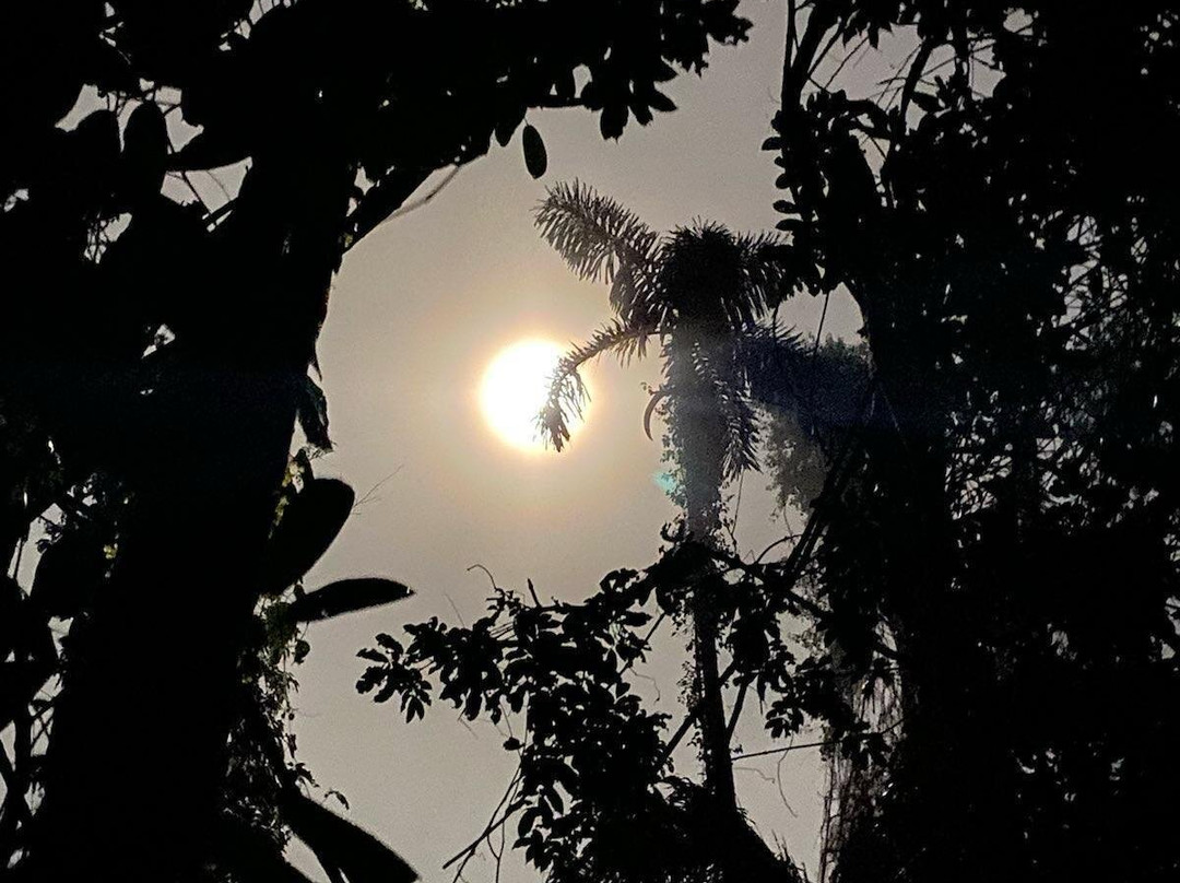 Pantiacolla-玛努国家公园必去景点