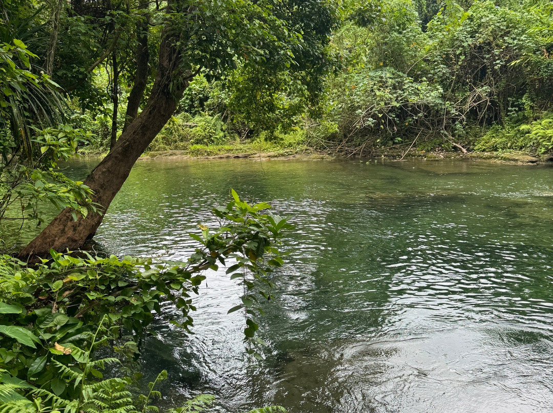 Eden on the River景点图片