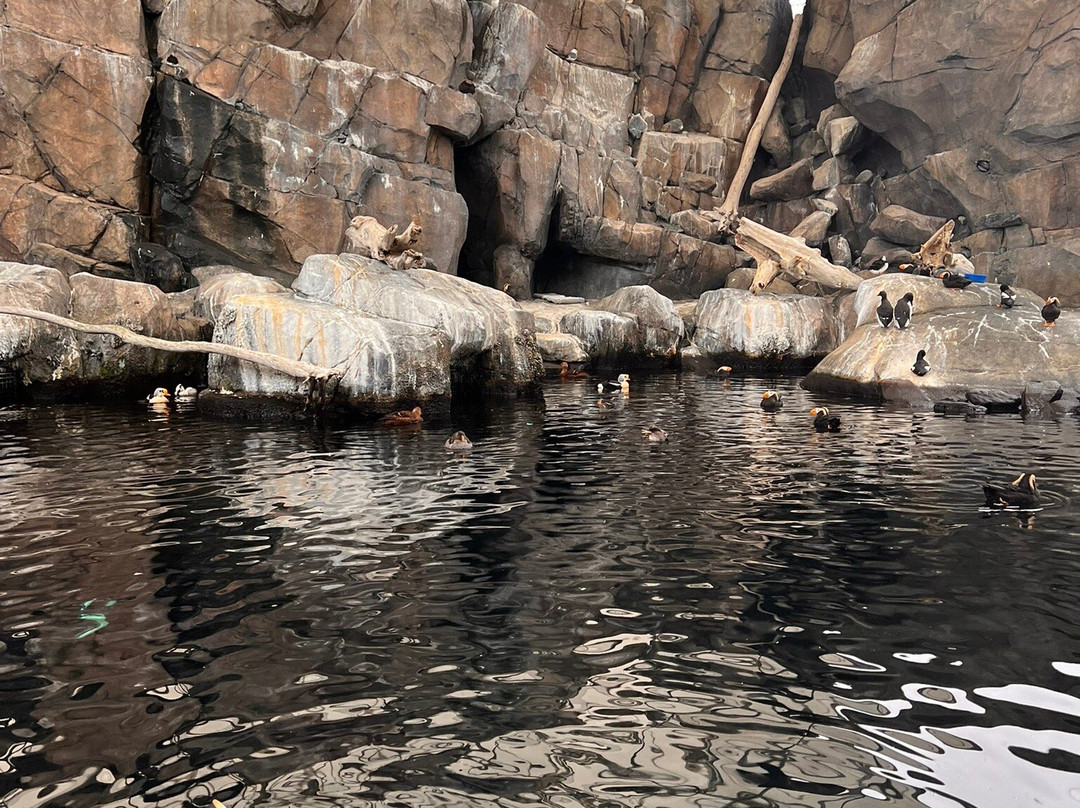 阿拉斯加海洋生物中心景点图片