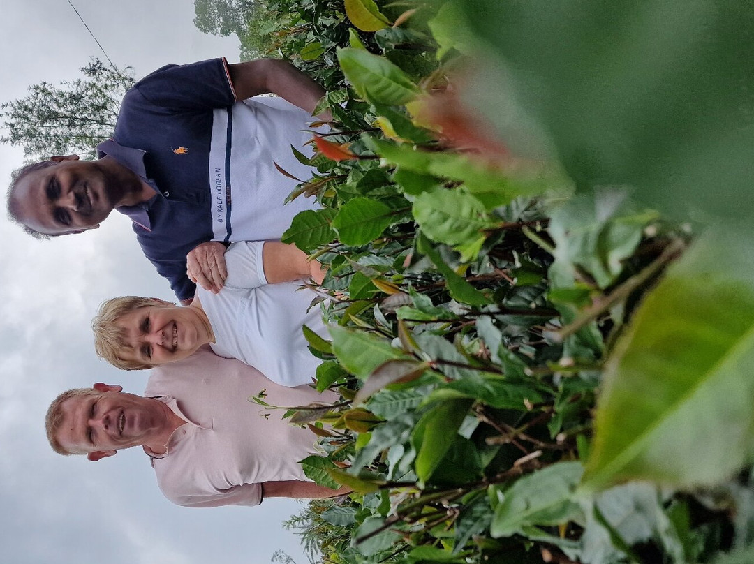 Carp Diem Tour Experts