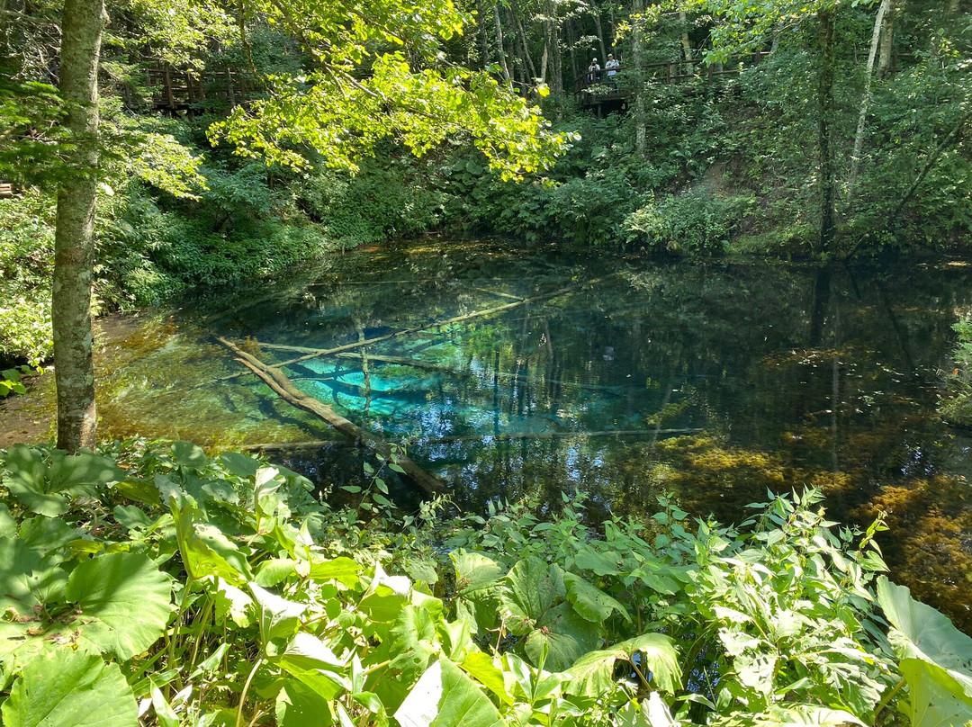神之子池-清里町必去景点