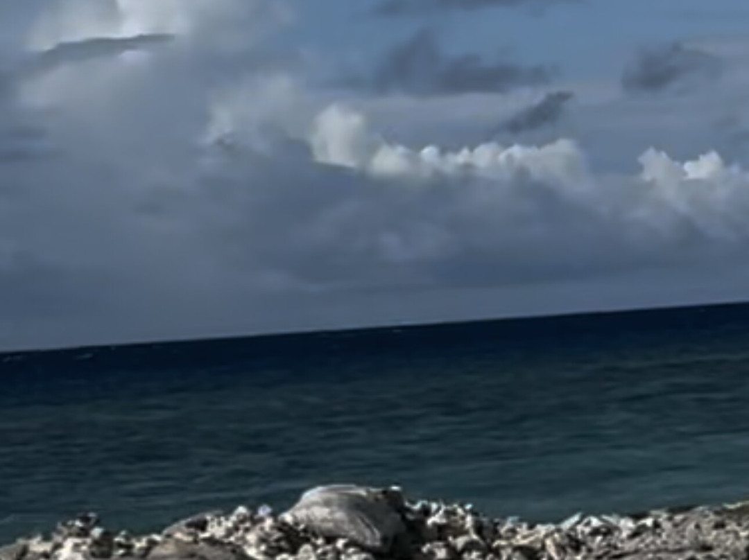 Thundi Sea View主图