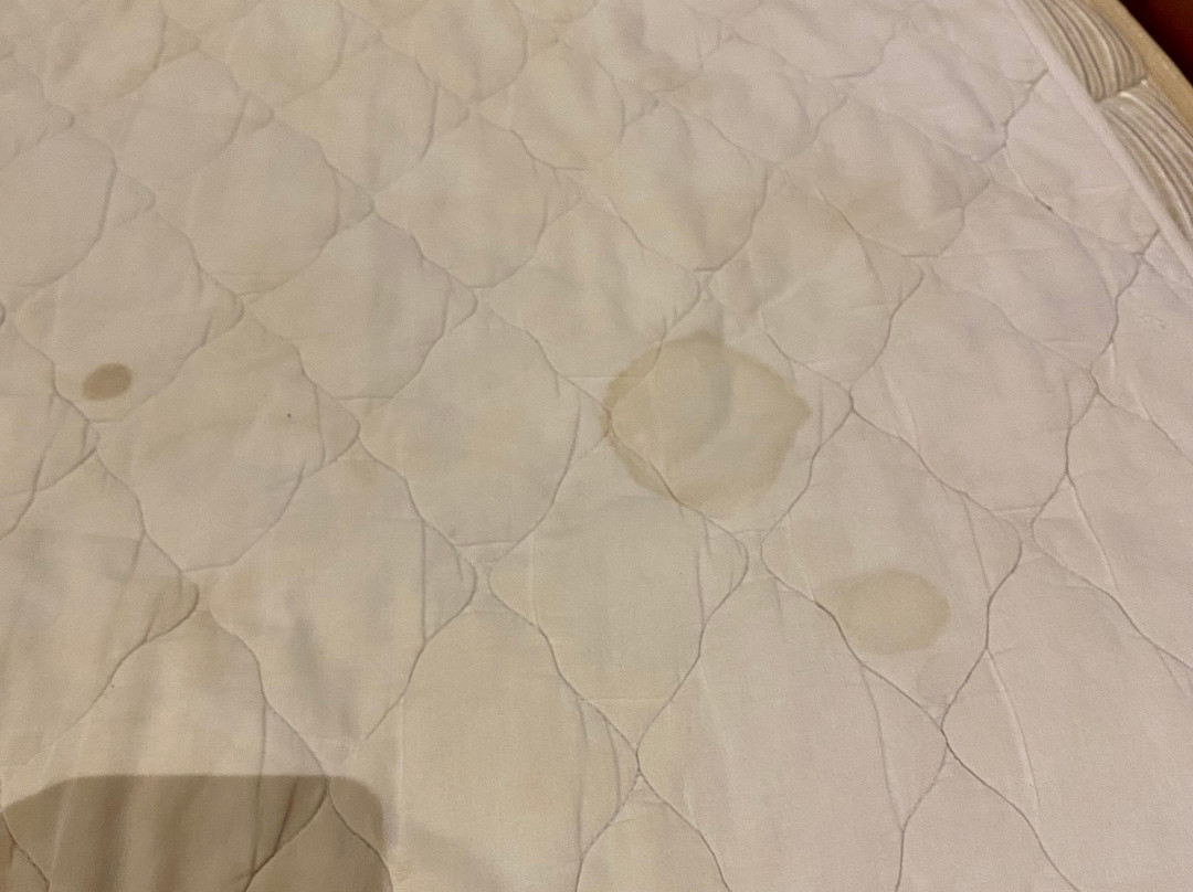 赛达拉精品海滩度假村主图
