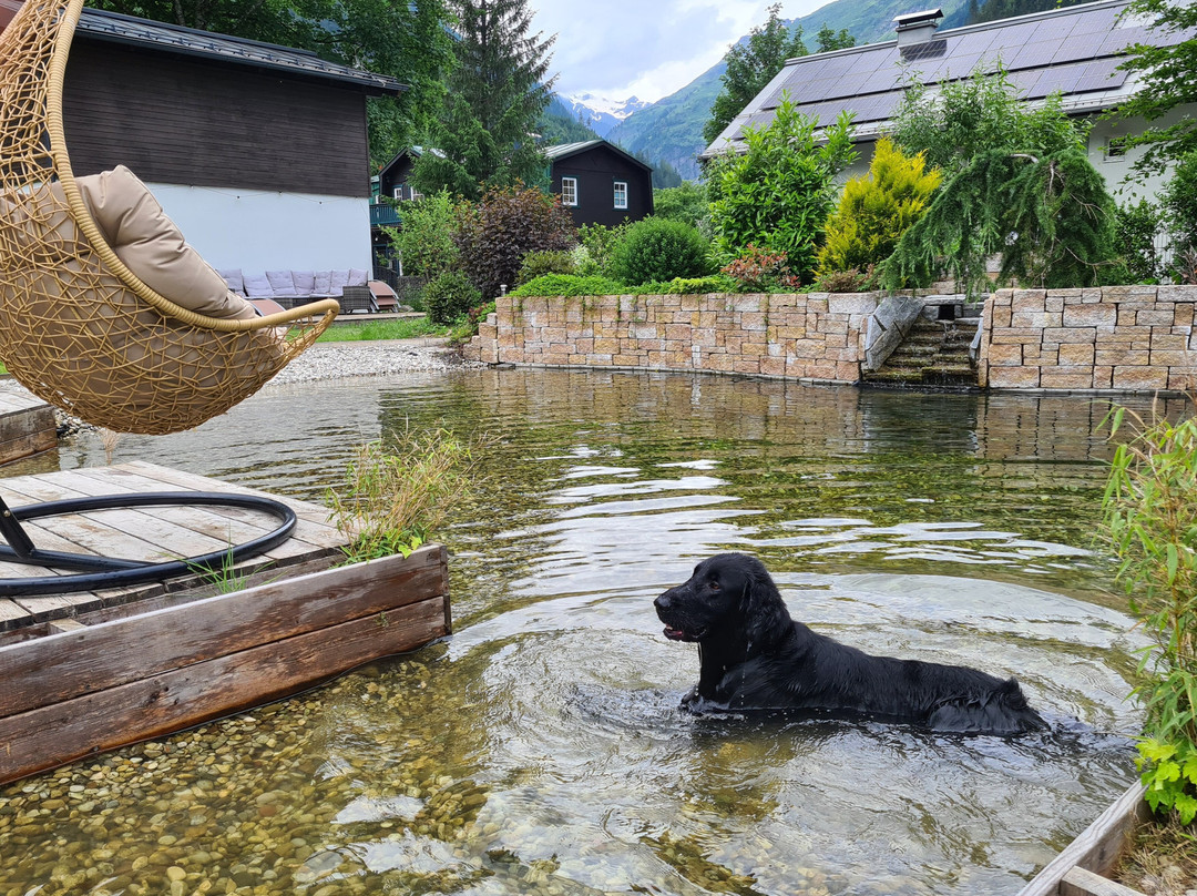 Grubers Hotel Apartments Gastein主图
