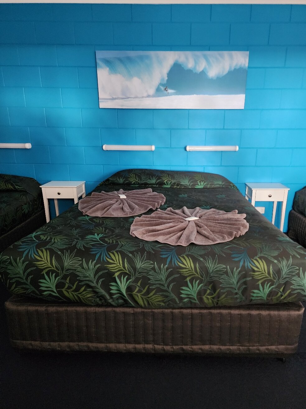 Whitsunday Palms Motel-官方