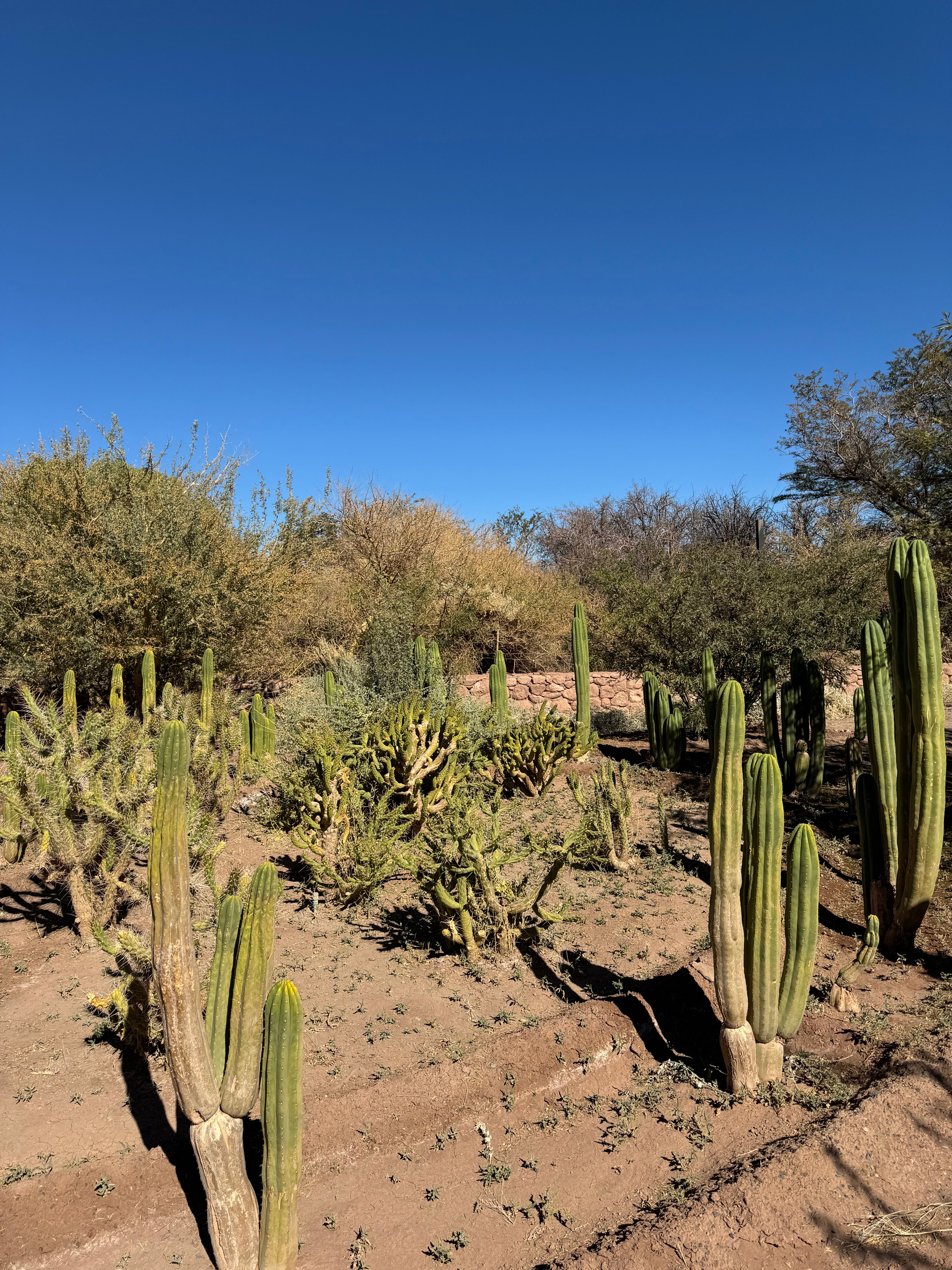 Hotel Cumbres San Pedro de Atacama-浴室