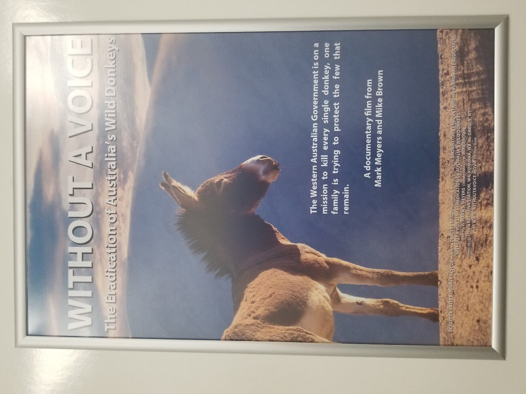 Donkey History Museum景点图片