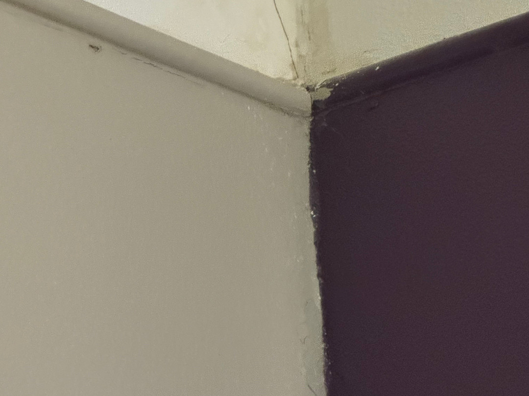 La Quinta Inn & Suites by Wyndham Roswell主图