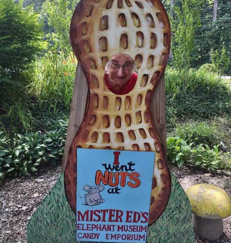 Mister Ed's Elephant Museum景点图片